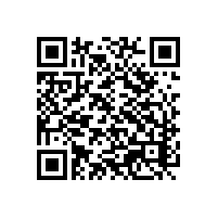 山东关务软件哪家好？山东关务智能系统可以直接通过关务系统提交报关数据给报关行吗？