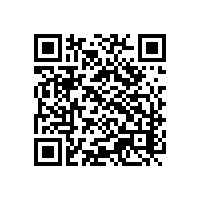 山东江苏船舶出口企业用什么AEO关务智慧软件比较合适呢？