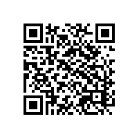 山东江苏船舶企业用AEO报关智能管理软件可以降低企业的关务成本吗？