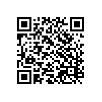 山东企业用关务系统速度有帮助吗？关务系统助力企业进行风险管理吗？