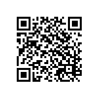 韶关河源惠州关务信息化智能软件怎么选？河源小家电用AEO关务软件哪家售后服务好？