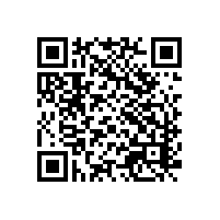 韶关河源企业AEO认证有啥优势吗？河源塑胶玩偶关务aeo软件哪家符合海关要求？