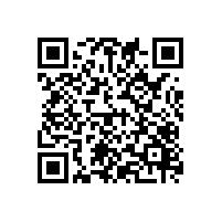 汕头aeo认证报关系统是啥系统？关务软件一般是什么价？