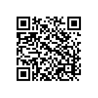 汕头aeo信息系统要达到海关哪些标准要求？符合海关aeo认证的进出口报关管理系统、aeo软件有哪些好用的？