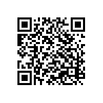 使用关务软件出口电子视听产品如何？湖南系统性价比高吗？