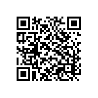 说一下AEO报关平台这方面惠州特色鞋业产业怎么选品牌？