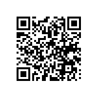 苏州9610通关平台让效率翻倍？AEO报关平台能否对接各种系统？
