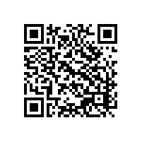 深圳AEO金二报关软件可以自动带出版本号吗？韶关惠州深圳关务系统能做空运的报关草单吗？