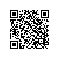 苏州电子通关平台让效率翻倍？AEO报关平台能否对接各种系统？