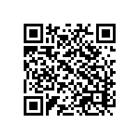 陶瓷杯企业选报关软件考虑售后情况吗？山东的企业关务系统能防风险吗？