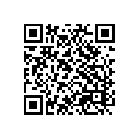 陶瓷企业通过报关系统降低错误率？江西陶瓷企业选报关系统的要求？