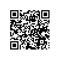 通关从业者运用关务系统的便利？江苏功能全面的报关软件有么？