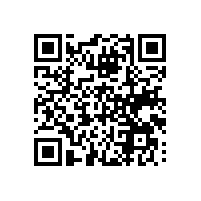 通关的软件现在能提供中文界面？越南关务系统能否实现数据永久存储？