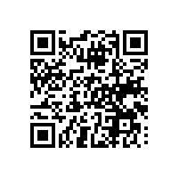 通关繁琐造成了哪些麻烦？ai关务系统能否简化浙江通关流程？