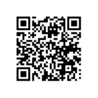 通过系统来改变进出口流程？越南优秀的报关管理软件品牌有吗？