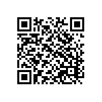 外地语言不通一般怎么解决的？越南关务操作系统能有啥便利？