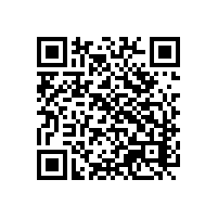 外贸的不便？河北报关软件能解决？怎么选择电子关务系统较好？