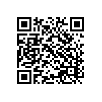 为什么说做aeo认证要有关务系统吗？湖南外贸企业使用哪家aeo报关软件？