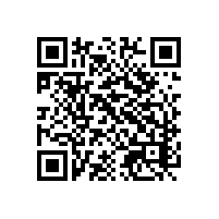 往外出口咨询关务辅导服务能降低风险嘛？苏州付费认证顾问还含哪些服务？