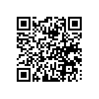 选aeo认证服务机构主要哪些方面是重点？湖北毛绒玩具企业选择哪个品牌进行aeo认证辅导？
