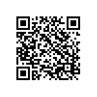现代广州关务软件加速了通关效率？AEO报关智能系统选哪个品牌？