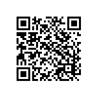 选关务报关系统企业真正要考虑哪些因素？河北报关系统哪家能提供优质本地化服务？
