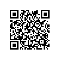 选越南报关软件系统辅导软件响应速度为何关键？越南五金企业报关软件系统辅导，机构定制化服务能力为何重要？