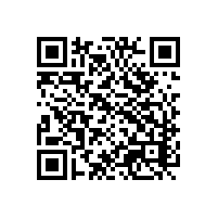 需要用到关务报关系统的不论大小企业吗？湖南湖北进出口报关软件企业对谁家的系统比较满意？