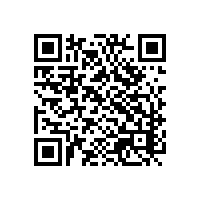 想用最朴素的方法报关？要不还是看看越南信息关务软件吧！