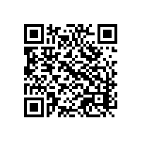 现在通关经常超时？越南自动关务系统能否规避这种问题？