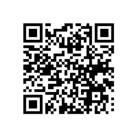 选择越南报关软件成本费用咋样？买谁家的越南关务软件系统值得功能多？