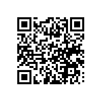 一般报关外地语言不通怎么办？越南关务操作系统能有啥便利？