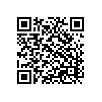 一般贸易报关红利感受到嘛？江苏电子报关软件有哪些品牌？