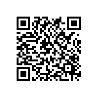 有关于珠三角地区各种类企业AEO辅导机构能否提供优秀的整改服务？