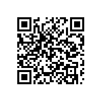越南报关软件系统怎么选是企业头疼的事？中资企业的越南报关软件提升效率吗？