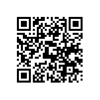 越南关务管理软件谁家系统是实用型？用越南关务系统中资企业进步大吗？