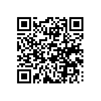 越南关务管理系统规范吗？越南关务管理系统能提供哪些吗？