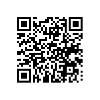 越南关务系统对中资企业实用功能多吗？中资企业需要关务软件的辅助能提高优势吗？