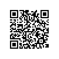越南关务系统能省哪些成本？越南关务软件对企业的风险有没有用处？