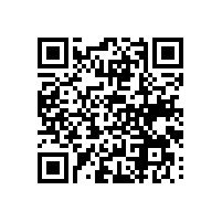 越南关务系统为企业带来了哪些具体好处？关务软件能帮助中资企业适应越南市场？