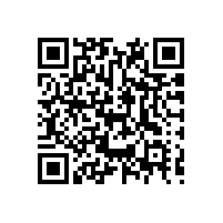 越南关务系统有哪些特色可以帮助中资企业吗？中资企业需要关务软件的辅助吗？