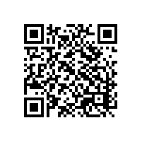 越南关务信息化管理软件有日志记录功能吗？越南aeo报关软件哪款售后服务更有保障？