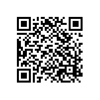 越南关务信息化软件是否能与企业的现有ERP对接数据？越南报关智能软件哪款支持多语言？