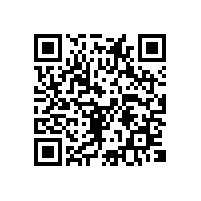 越南关务性质为何影响传统报关？越南自动报关软件能解决吗？？