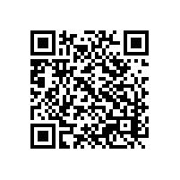 越南关务智能软件能导入企业其他内部系统的数据吗？越南报关软件实施有会越南语的中国人吗？