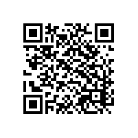 越南海关管理企业用关务系统重要吗？越南中资企业关务系统需求怎么选？