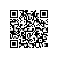 越南通关用越南关务系统能排除什么困难？有没有科学好用的电子报关软件？