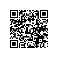 有哪些越南关务管理软件是企业信的过的？用越南关务系统中资企业会不会更便利？