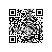 越南智能关务软件安全性合规如何呢？报关智慧系统该选啥？