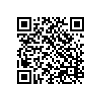 越南中资企业的关务系统提供解决方案？关务系统可帮助中资企业提升竞争力？